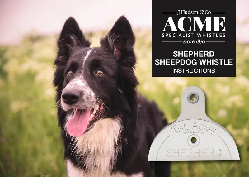 Acme Classic Shepherd’s Whistle for Dog Commands