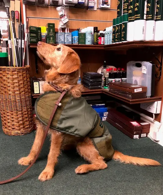 Alan Paine Traditional Tweed Dog Coat – Waterproof & Insulated