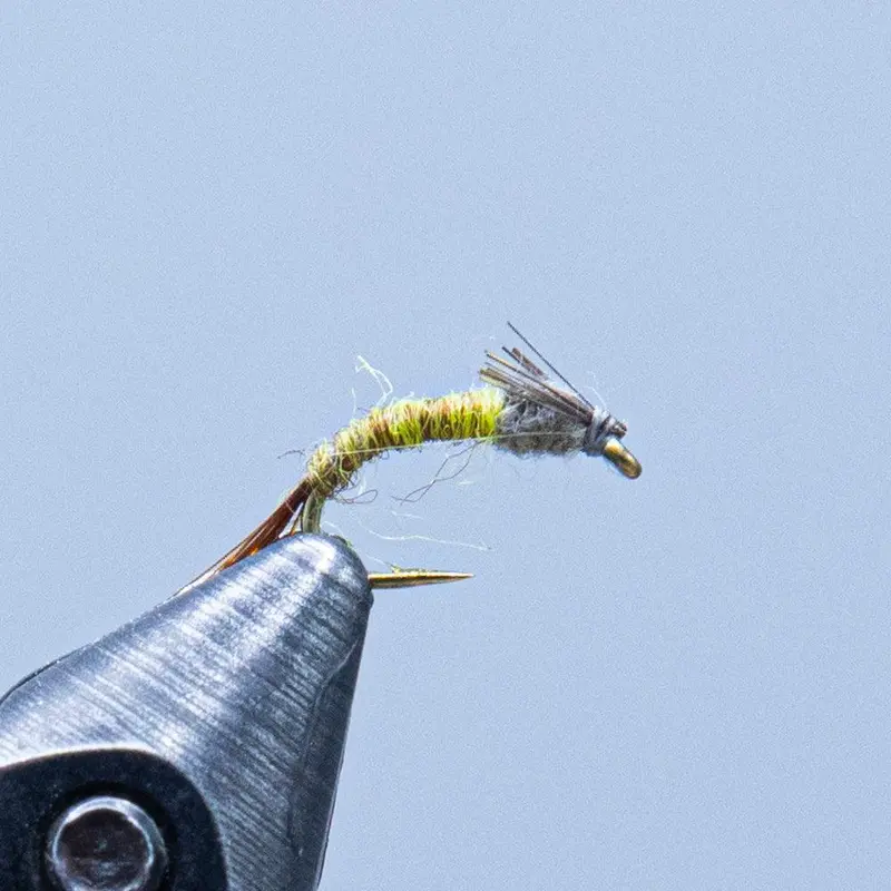 Barr Emerger Flashback Variant