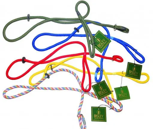 Bisley Loose-Braid Slip Lead for Controlled Walking