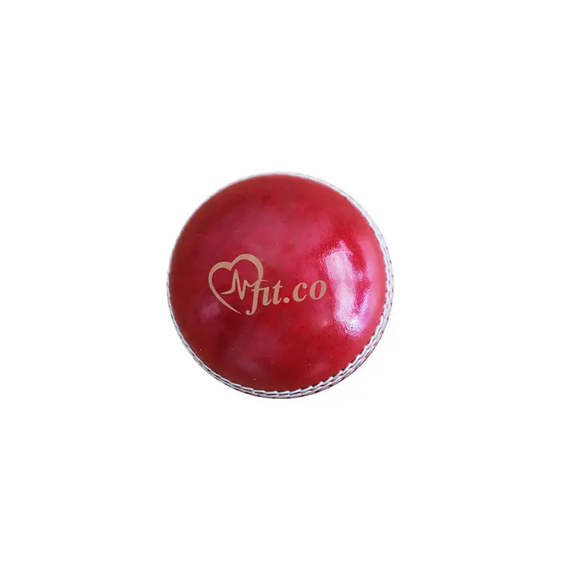Branded Cricket Ball – Tournament or Team Edition