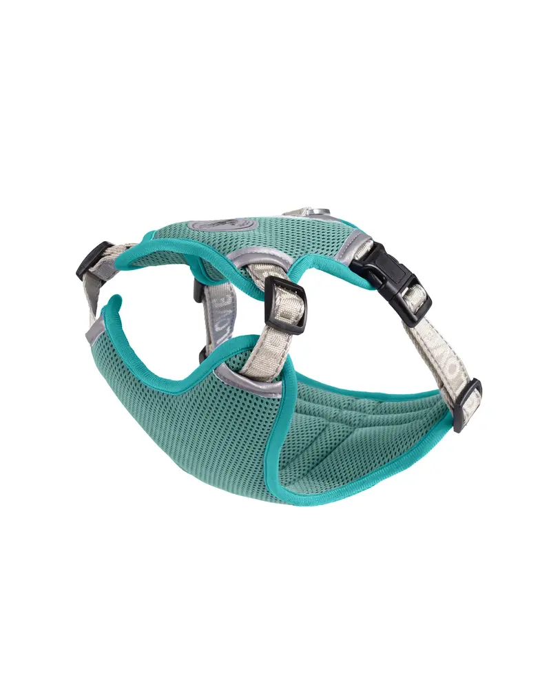 Green Evaporative Cooling Harness for Dogs