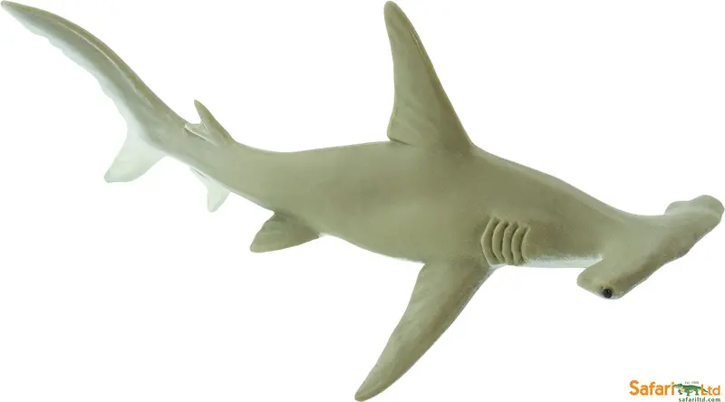 Hammerhead Shark Model: Realistic Marine Predator Sculpture