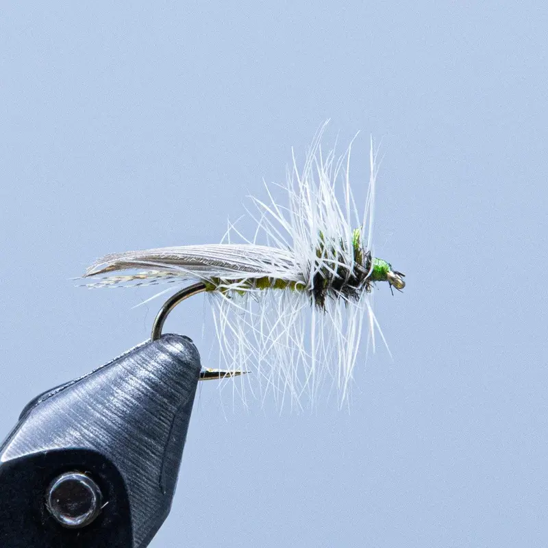 Hemingway Caddis Emerger Fly