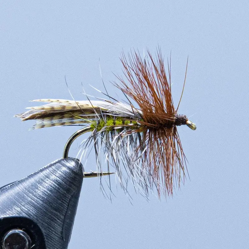 Henryville Special Dry Fly Pattern