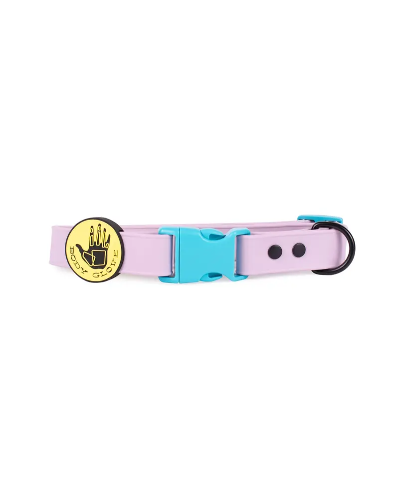 Lavender Waterproof Dog Collar – Comfort-Fit Design