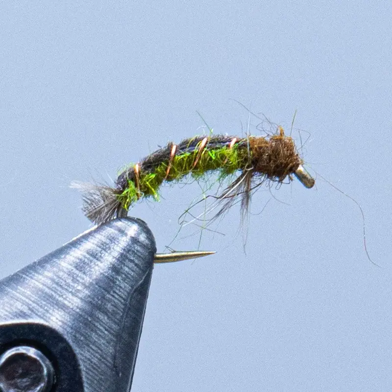 Net-Spinnning Caddis Larva Pattern