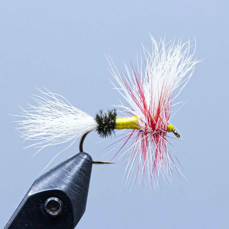 Parmachenee Belle Wulff Dry Fly – Classic Foam-and-Deer-Hair Pattern for Surface Feeding Fish