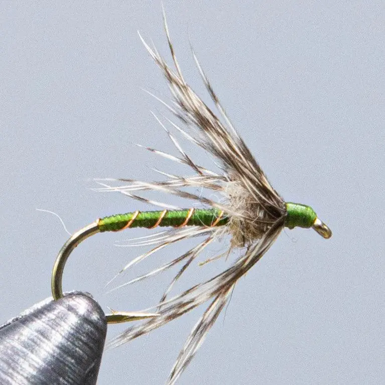 Partridge & Green Hackle for Classic Wet Flies