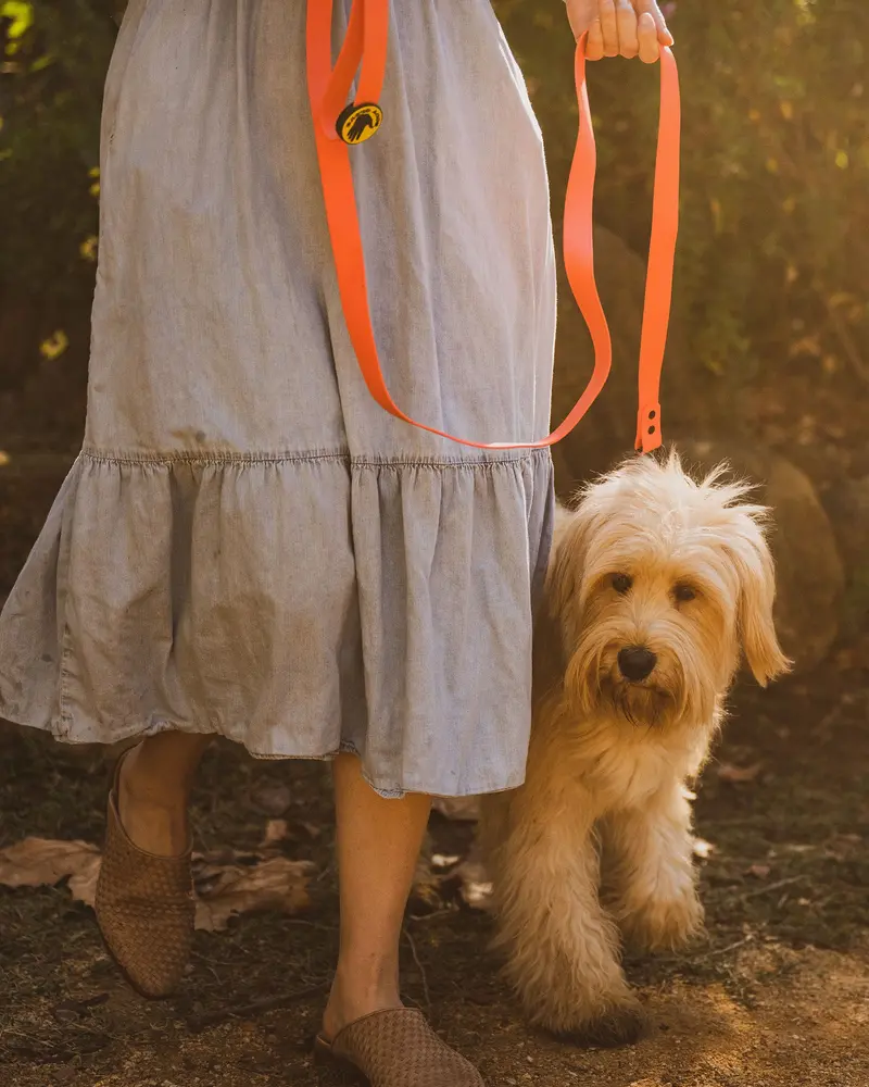 Sunset-Toned Waterproof Dog Leash – Durable & Weather-Resistant