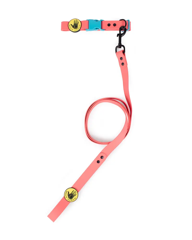 Sunset Waterproof Dog Collar – Adjustable and Chew-Resistant
