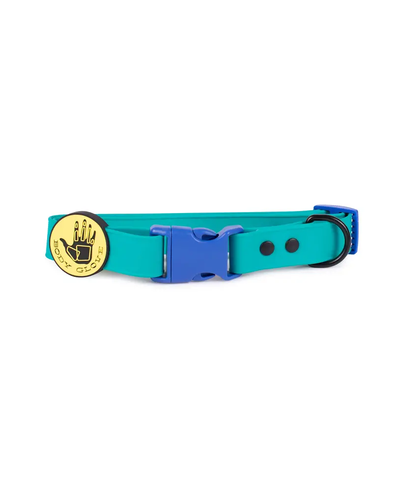 Teal Waterproof Dog Collar – UV-Resistant and Odor-Repellent